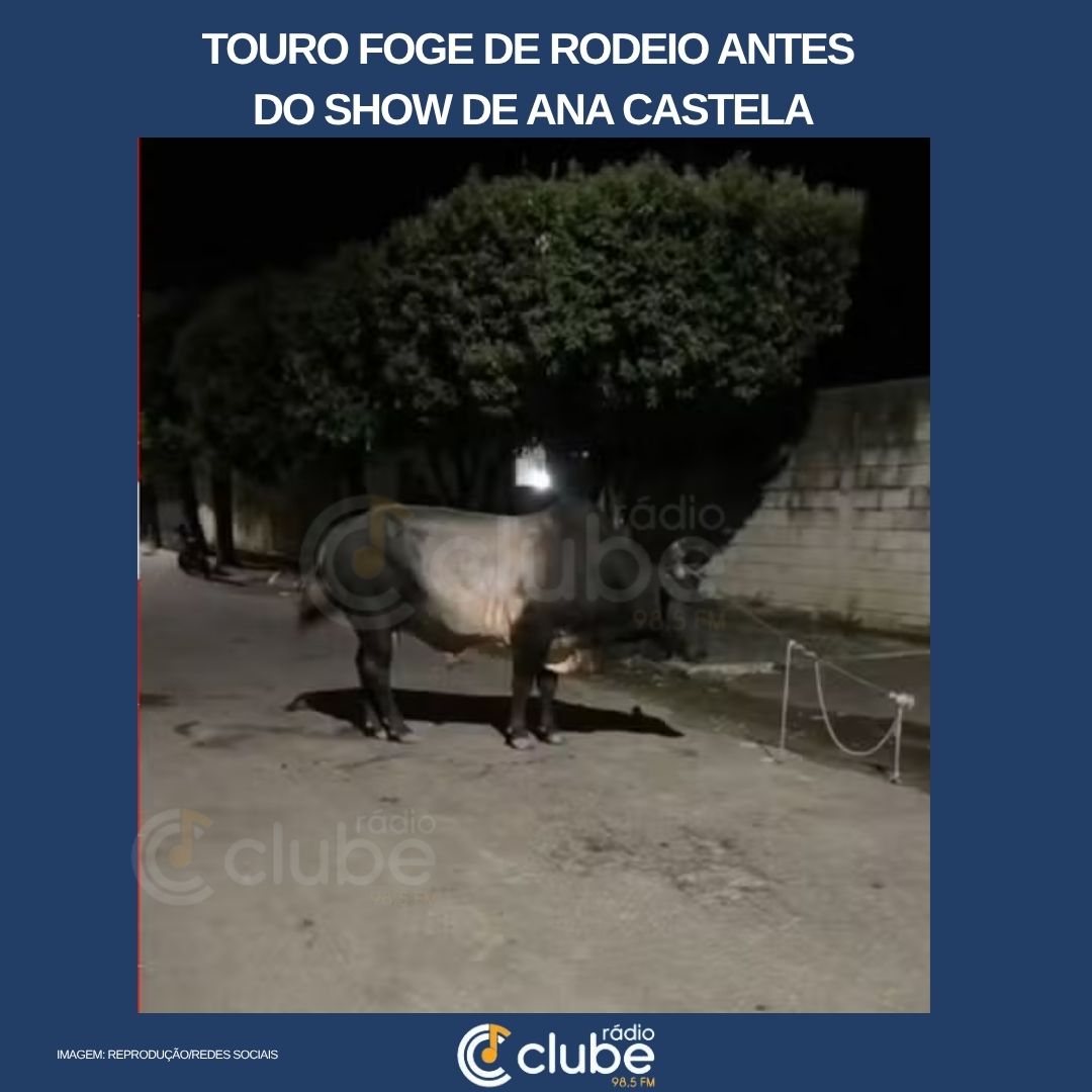 TOURO FOGE DE RODEIO ANTES DE SHOW DO ANA CASTELA