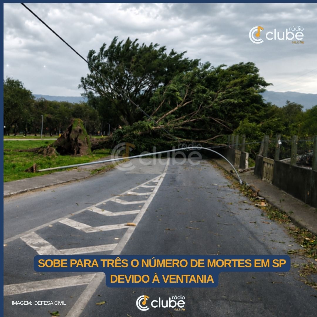 Sobe para três o número de mortes em SP devido à ventania